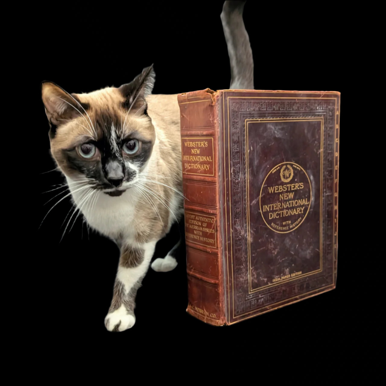 Webster's New International Dictionary by G. & C. Merriam Co. (RARE India Paper Edition), 1915 🕰️ 📜📚