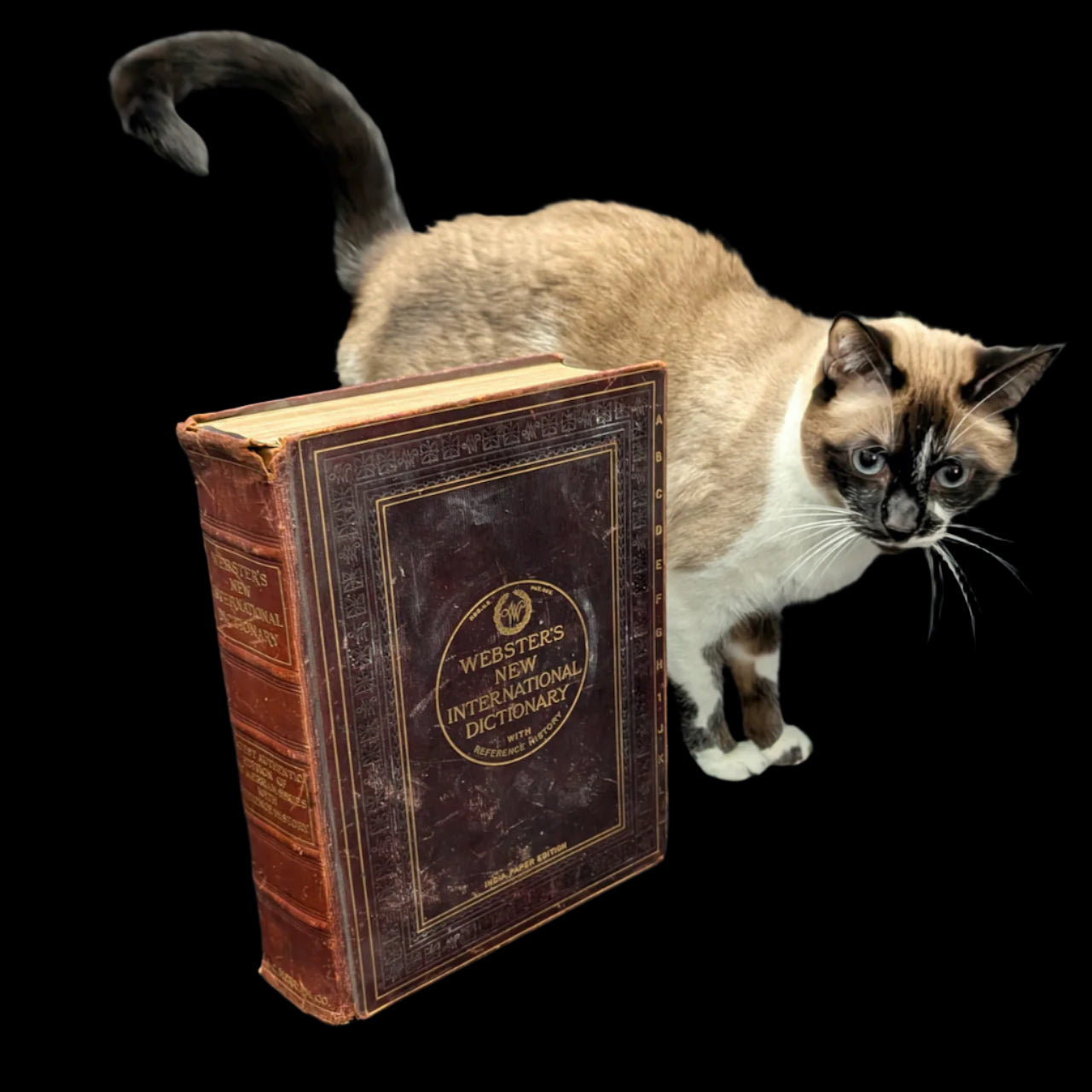 Webster's New International Dictionary by G. & C. Merriam Co. (RARE India Paper Edition), 1915 🕰️ 📜📚