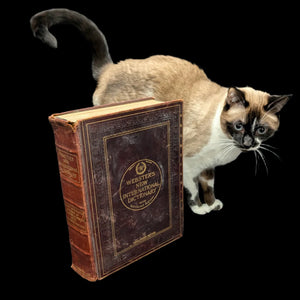 Webster's New International Dictionary by G. & C. Merriam Co. (RARE India Paper Edition), 1915 🕰️ 📜📚