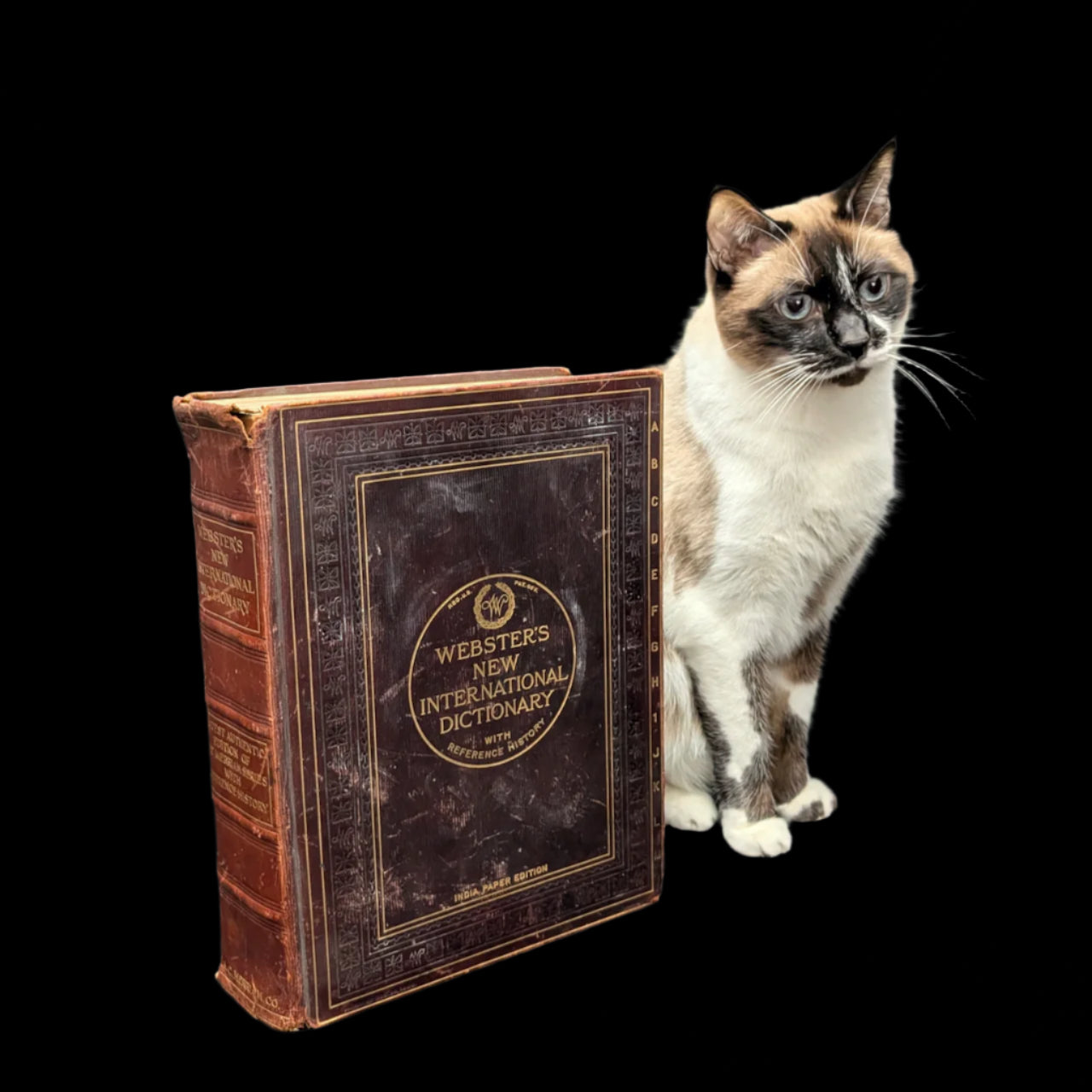 Webster's New International Dictionary by G. & C. Merriam Co. (RARE India Paper Edition), 1915 🕰️ 📜📚