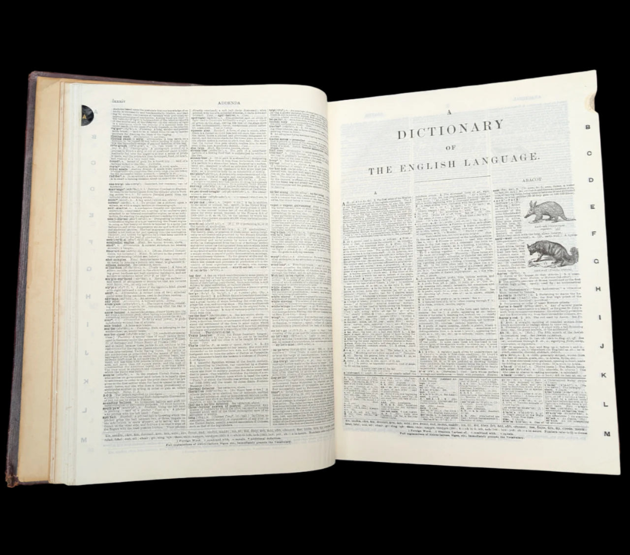 Webster's New International Dictionary by G. & C. Merriam Co. (RARE India Paper Edition), 1915 🕰️ 📜📚