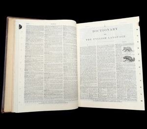 Webster's New International Dictionary by G. & C. Merriam Co. (RARE India Paper Edition), 1915 🕰️ 📜📚