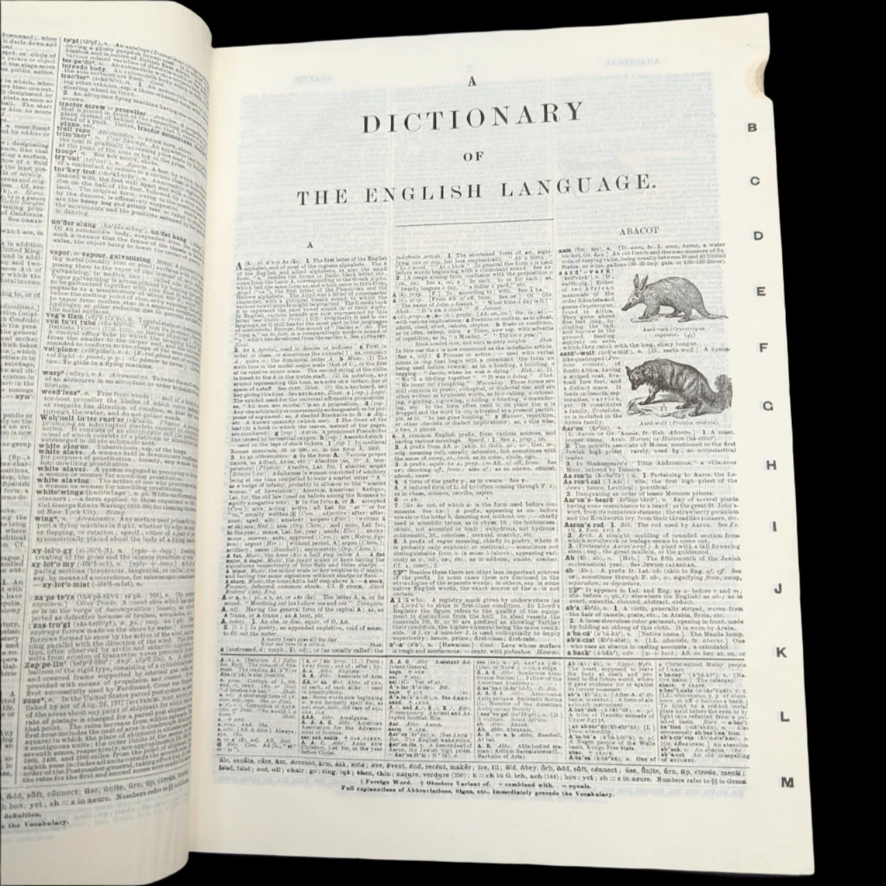 Webster's New International Dictionary by G. & C. Merriam Co. (RARE India Paper Edition), 1915 🕰️ 📜📚