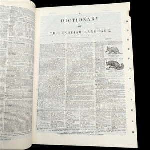 Webster's New International Dictionary by G. & C. Merriam Co. (RARE India Paper Edition), 1915 🕰️ 📜📚
