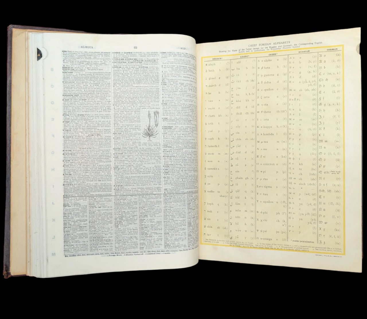 Webster's New International Dictionary by G. & C. Merriam Co. (RARE India Paper Edition), 1915 🕰️ 📜📚