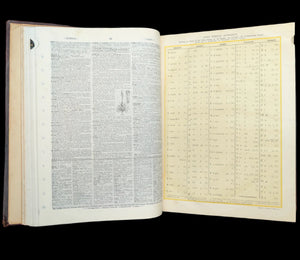 Webster's New International Dictionary by G. & C. Merriam Co. (RARE India Paper Edition), 1915 🕰️ 📜📚