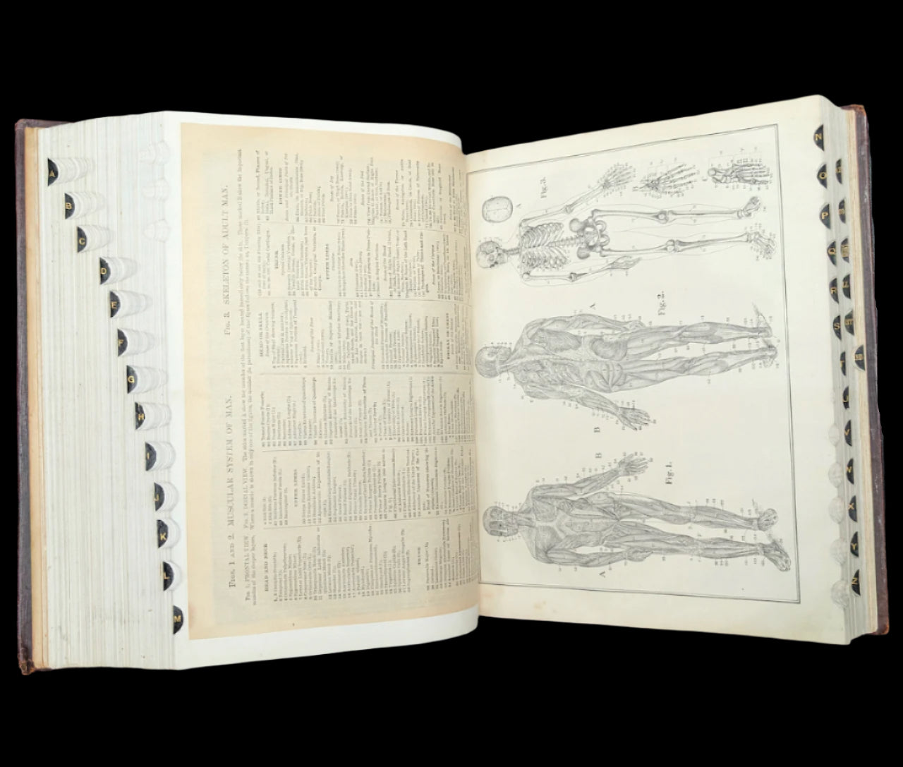 Webster's New International Dictionary by G. & C. Merriam Co. (RARE India Paper Edition), 1915 🕰️ 📜📚