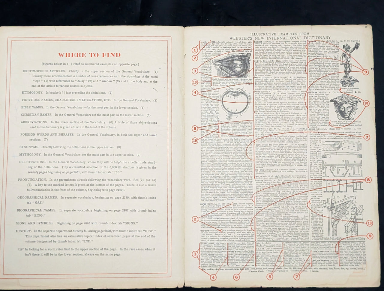 Webster's New International Dictionary by G. & C. Merriam Co. (RARE India Paper Edition), 1915 🕰️ 📜📚