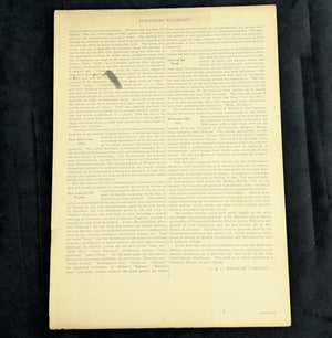 Webster's New International Dictionary by G. & C. Merriam Co. (RARE India Paper Edition), 1915 🕰️ 📜📚