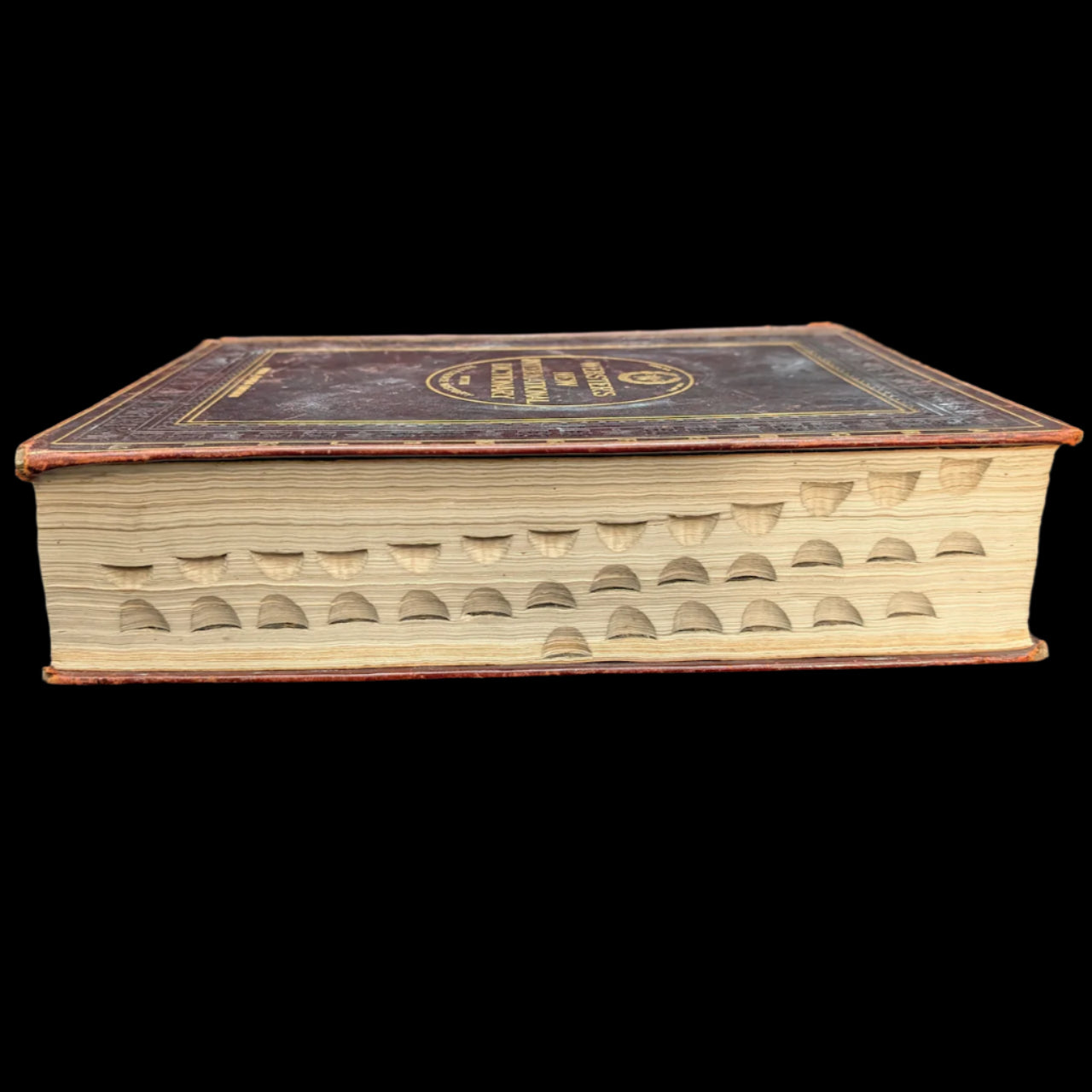 Webster's New International Dictionary by G. & C. Merriam Co. (RARE India Paper Edition), 1915 🕰️ 📜📚