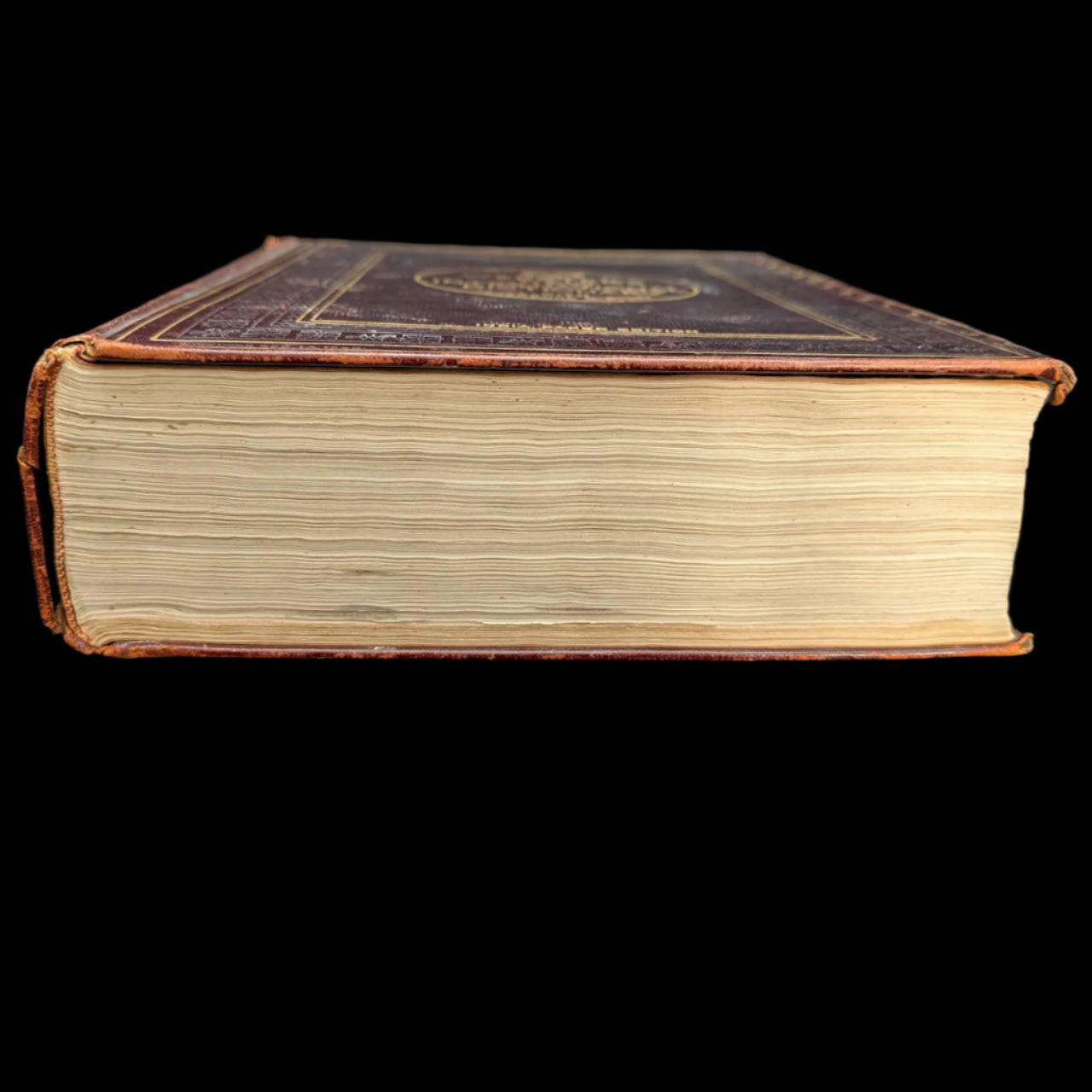 Webster's New International Dictionary by G. & C. Merriam Co. (RARE India Paper Edition), 1915 🕰️ 📜📚