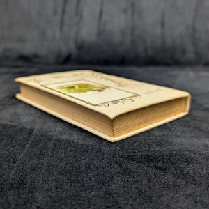 Lucile, by Owen Meredith, (RARE, Decorative Binding, Illustrated), 1901 📜🥀✨