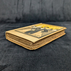 Bolanyo, a Novel by Opie Read (RARE, First Edition, First Printing, Maxfield Parrish Cover), 1897 📜✍️🎨