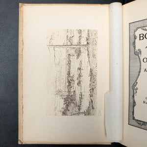 Bolanyo, a Novel by Opie Read (RARE, First Edition, First Printing, Maxfield Parrish Cover), 1897 📜✍️🎨