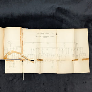 Creoles of St. Louis by Paul Beckwith (RARE, First Edition, Genealogical Annotations), 1893 📜🎨🇺🇸