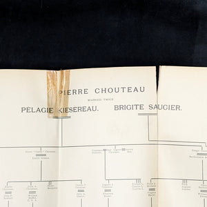 Creoles of St. Louis by Paul Beckwith (RARE, First Edition, Genealogical Annotations), 1893 📜🎨🇺🇸