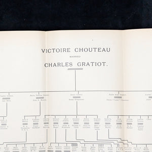 Creoles of St. Louis by Paul Beckwith (RARE, First Edition, Genealogical Annotations), 1893 📜🎨🇺🇸
