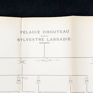 Creoles of St. Louis by Paul Beckwith (RARE, First Edition, Genealogical Annotations), 1893 📜🎨🇺🇸