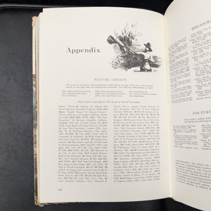 The California Gold Rush by Ralph K. Andrist (First Edition, Illustrated), 1961 ⛏️💰📜