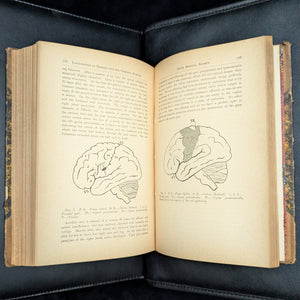 Transactions of the Medical Society of the State of California by The Medical Society of the State of California (Rare Volume V, 1880) 📜🩺🌉