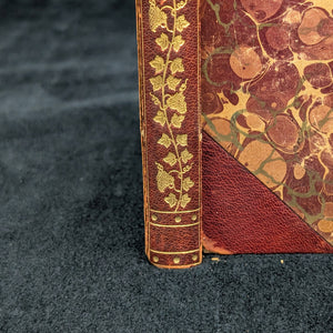 Lyrics of Lowly Life by Paul Laurence Dunbar (RARE Third Edition), 1903 📜✨🎭