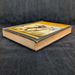 Michael Strogoff: A Courier of the Czar by Jules Verne (RARE, First American Edition), 1927 📜✨🤩
