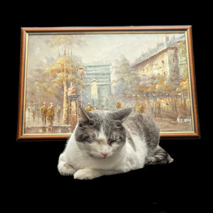 Escena callejera de París con el Arco del Triunfo de Vermen 🇫🇷