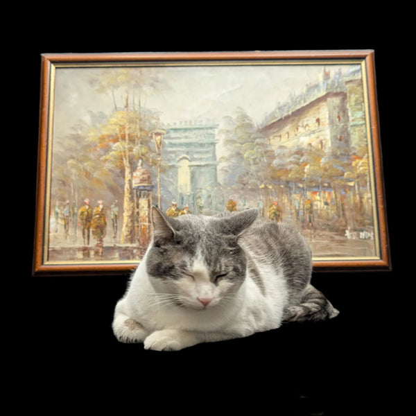 Escena callejera de París con el Arco del Triunfo de Vermen 🇫🇷