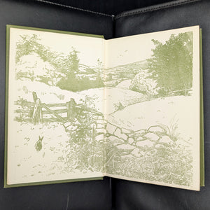 Adventures In Friendship, by David Grayson, (RARE, First Edition, Illustrated), 1910 📜✍️🏛️