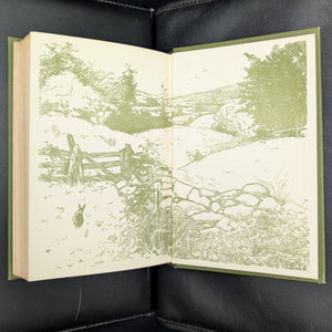 Adventures In Friendship, by David Grayson, (RARE, First Edition, Illustrated), 1910 📜✍️🏛️