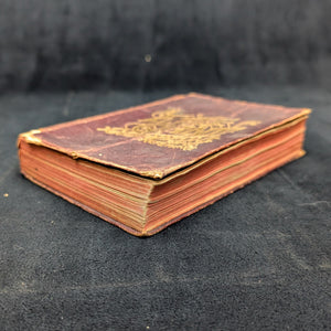 The Little Giant Cyclopedia by K. L. Armstrong (Rare Antique Edition), 1892 📚🔬💡