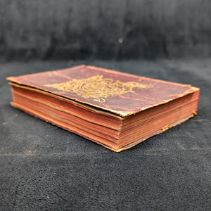 The Little Giant Cyclopedia by K. L. Armstrong (Rare Antique Edition), 1892 📚🔬💡