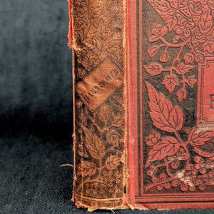Aesop's Fables Illustrated by John Tenniel (Alta Edition), 1872. 🦊🐢📜