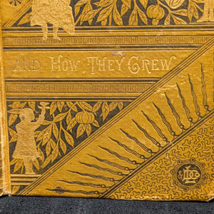 Five Little Peppers and How They Grew by Margaret Sidney (First Edition, First Printing), 1880 ๐จโ๐ฉโ๐งโ๐ฆ๐๐๏ธ