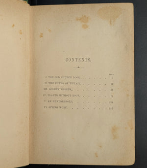 Stories of Vinegar Hill (1879 London First Printing), The Golden Ladder Series, Ballantyne Press 🇬🇧📜🌹