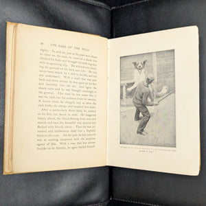 The Call of The Wild by Jack London (1910 Reprint, Oregon Bookstore Stamp) 🐺🌲📚