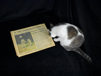 Historical Newspaper Set by The Sacramento Bee (NASA, Apollo 11, Moon Landing), 1969 🚀🌕👨‍🚀