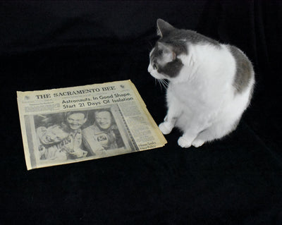 Historical Newspaper Set by The Sacramento Bee (NASA, Apollo 11, Moon Landing), 1969 🚀🌕👨‍🚀