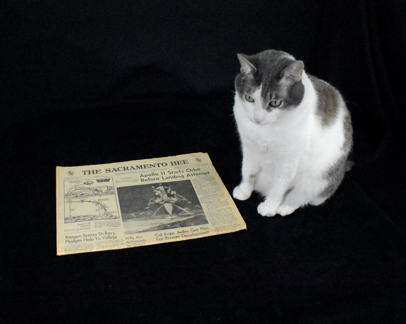 Historical Newspaper Set by The Sacramento Bee (NASA, Apollo 11, Moon Landing), 1969 🚀🌕👨‍🚀