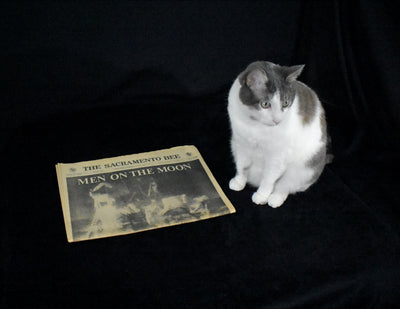 Historical Newspaper Set by The Sacramento Bee (NASA, Apollo 11, Moon Landing), 1969 🚀🌕👨‍🚀