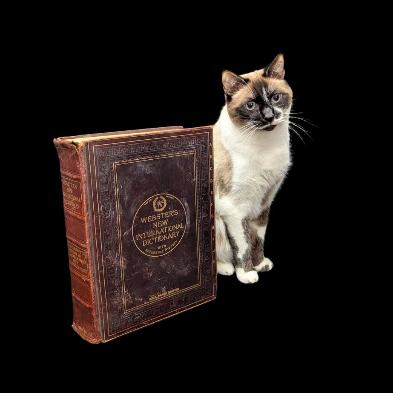 Webster's New International Dictionary by G. & C. Merriam Co. (RARE India Paper Edition), 1915 🕰️ 📜📚