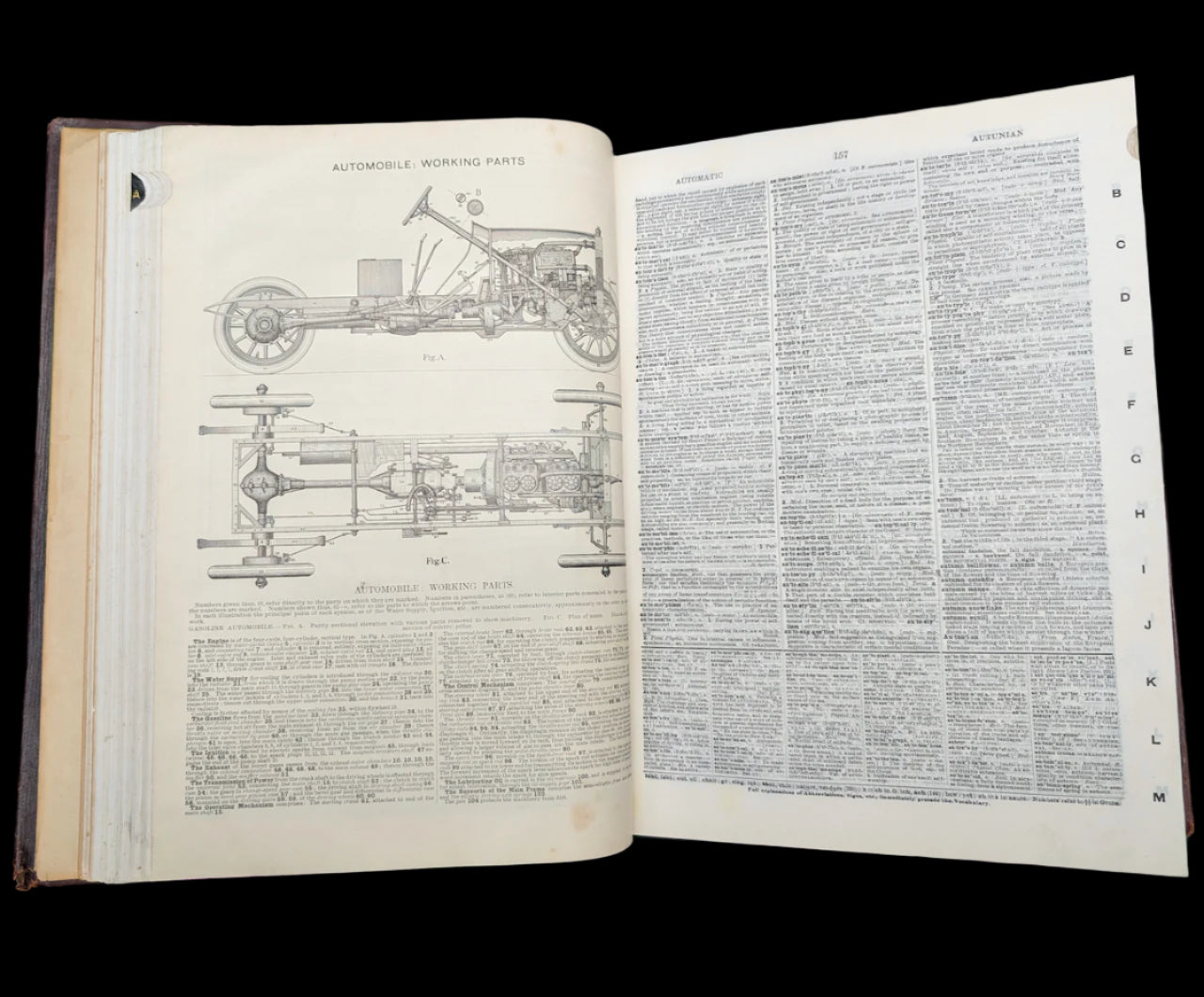 Webster's New International Dictionary by G. & C. Merriam Co. (RARE India Paper Edition), 1915 🕰️ 📜📚