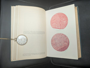 Diseases of the Nose and Throat; Diseases of the Digestive Canal (Illustrated American Edition), 1909 🩺📚🔬