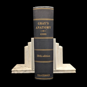 Gray's Anatomy, by Henry Gray, (28th Edition, Illustrated), 1966 💀🧠🩺