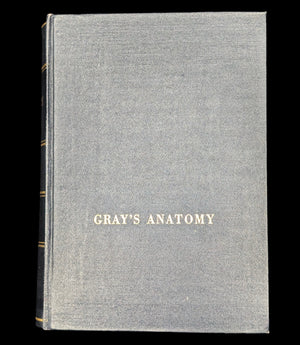Gray's Anatomy, by Henry Gray, (28th Edition, Illustrated), 1966 💀🧠🩺