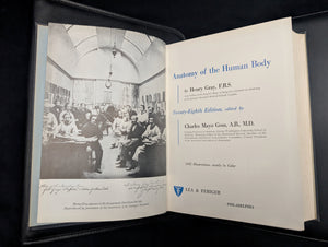 Gray's Anatomy, by Henry Gray, (28th Edition, Illustrated), 1966 💀🧠🩺