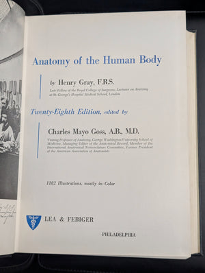 Gray's Anatomy, by Henry Gray, (28th Edition, Illustrated), 1966 💀🧠🩺