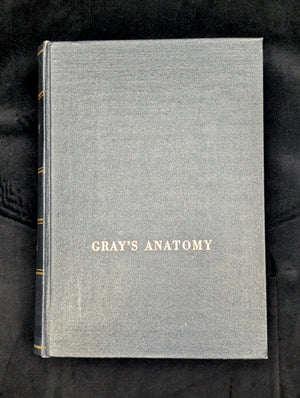 Gray's Anatomy, by Henry Gray, (28th Edition, Illustrated), 1966 💀🧠🩺