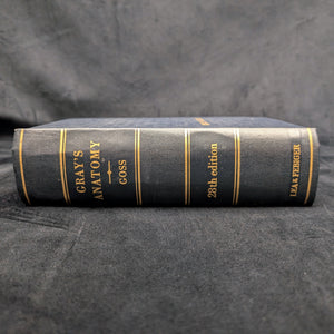 Gray's Anatomy, by Henry Gray, (28th Edition, Illustrated), 1966 💀🧠🩺