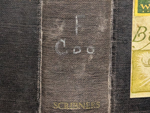 Deerslayer, by J. Fenimore Cooper, (Library Edition, Illustrated), 1925 🏹🌲📚